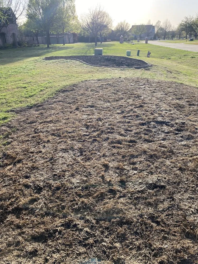 Trusted lawn mowing service experts serving Plano, TX - Lawn King Of North Dallas