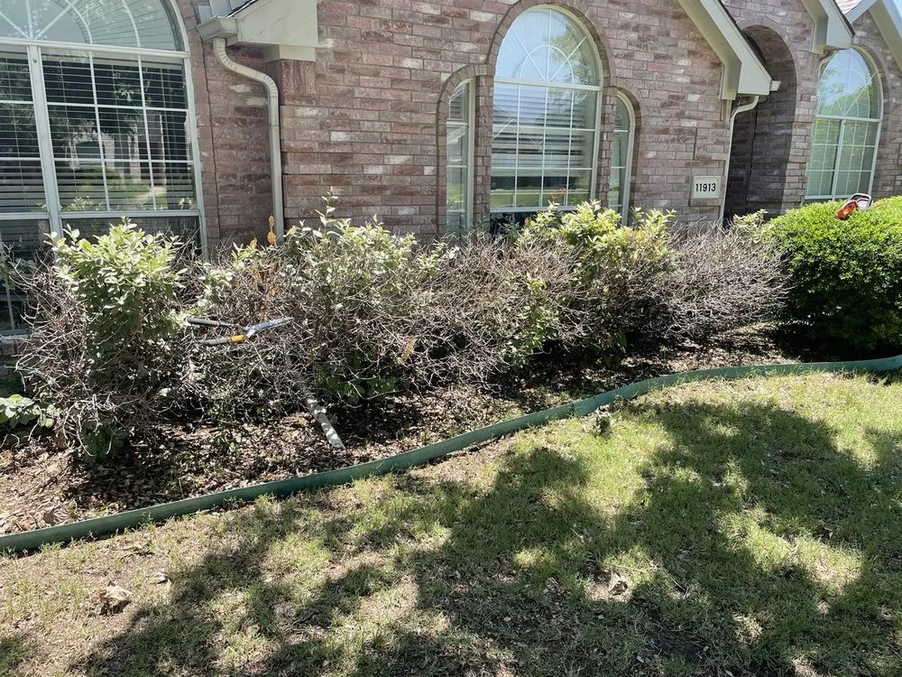 Professional lawn mowing service in Plano, TX - Lawn King Of North Dallas