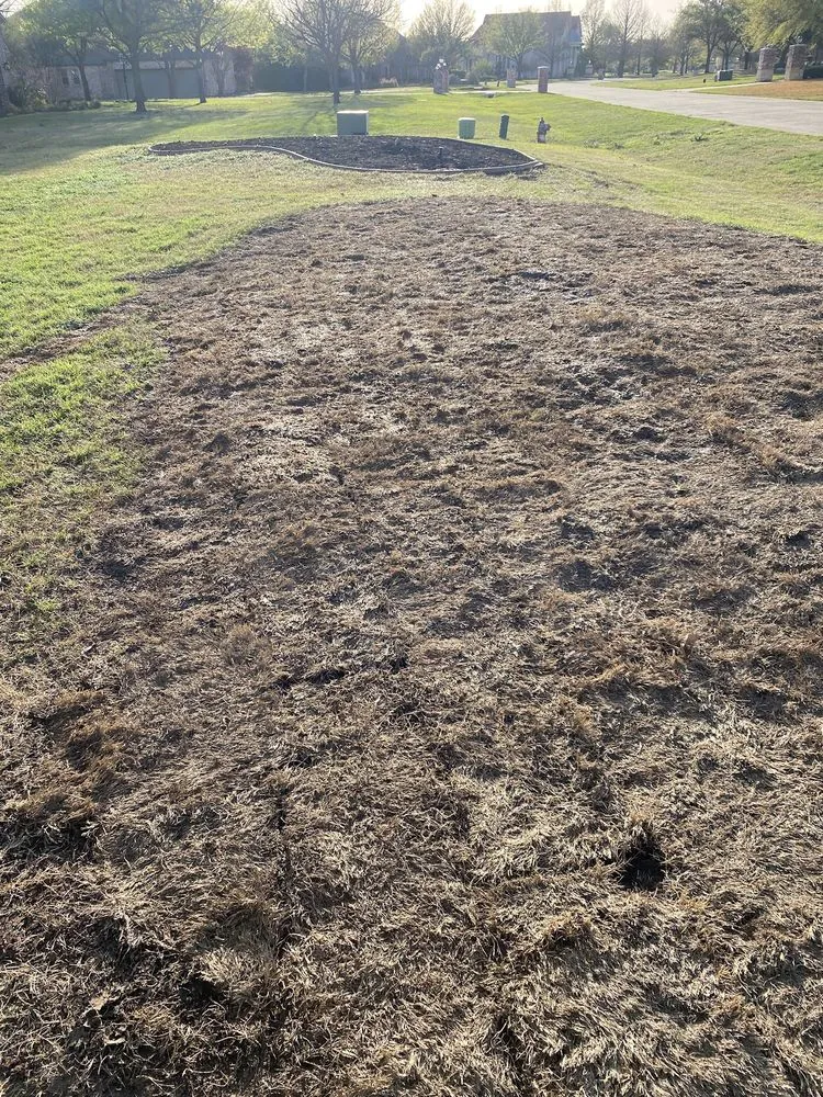 Professional landscape installation for residential properties across Plano, TX - Lawn King Of North Dallas