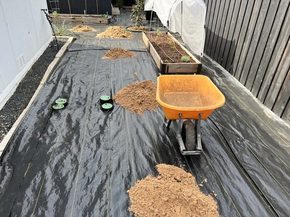 Top-rated residential landscaping in Plano, TX - Lawn King Of North Dallas