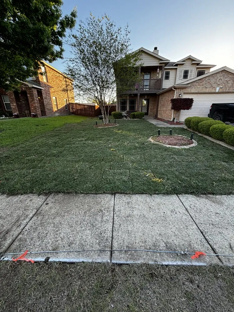 Professional lawn mowing service experts serving Plano, TX - Lawn King Of North Dallas