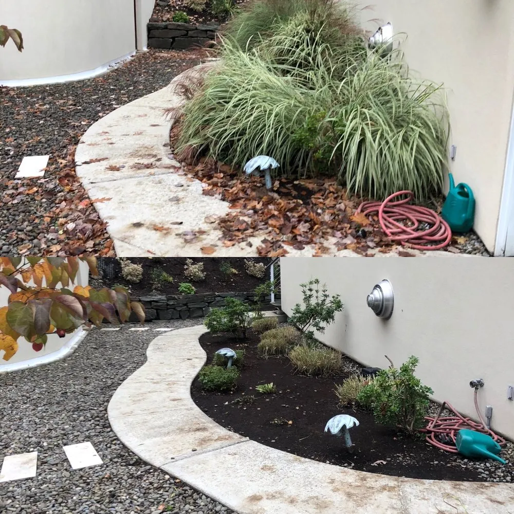 Top-rated landscaping services in Vestal, NY by Lawn King