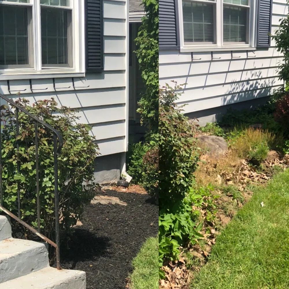 Affordable residential landscaping experts serving Vestal, NY - Lawn King