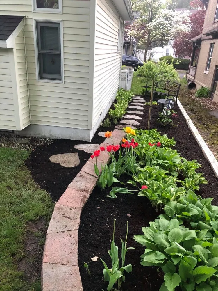 Expert yard cleanup service experts serving Vestal, NY - Lawn King