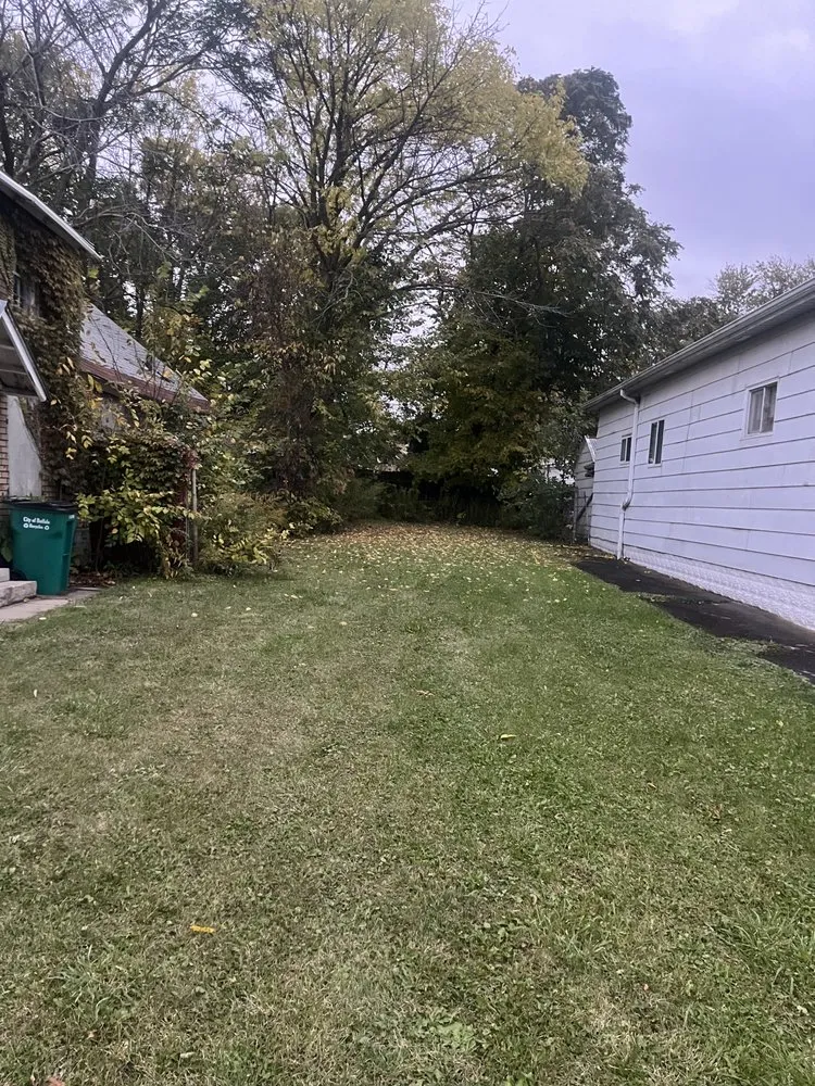 Affordable yard maintenance in Buffalo, NY - Lawn Kings