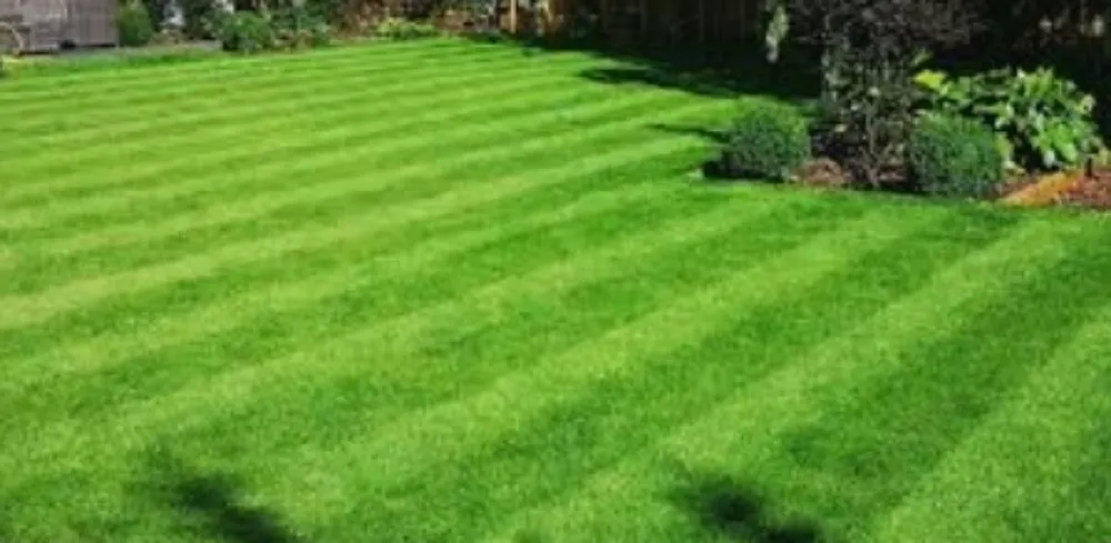 Professional garden landscaping near you across Keokuk, IA - Lawn Kings