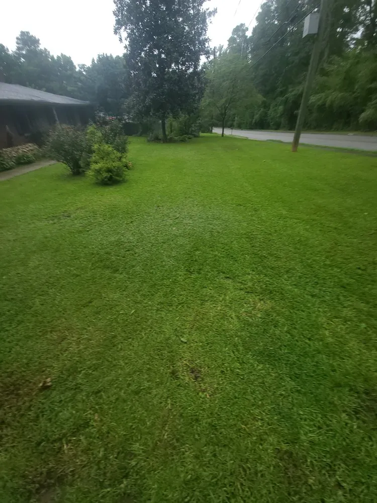Professional lawn mowing service for year-round maintenance in Augusta, GA by Lawn Kings Landscaping