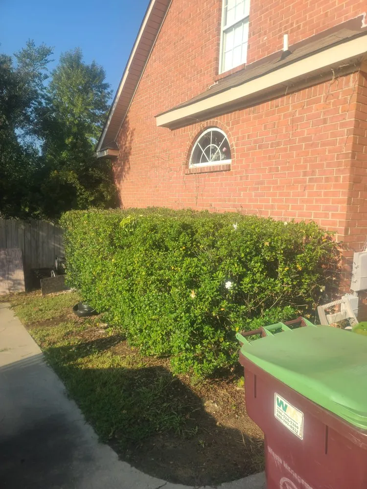 Affordable lawn care service in Augusta, GA - Lawn Kings Landscaping