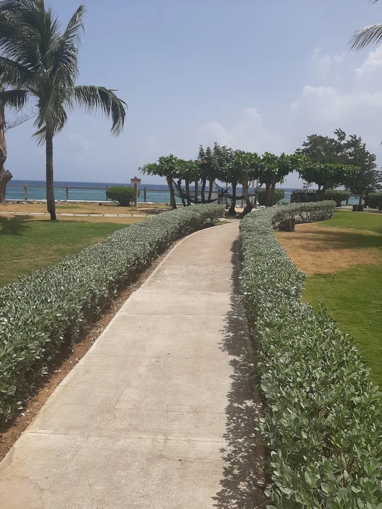 Local garden landscaping experts serving Augusta, GA - Lawn Kings Landscaping