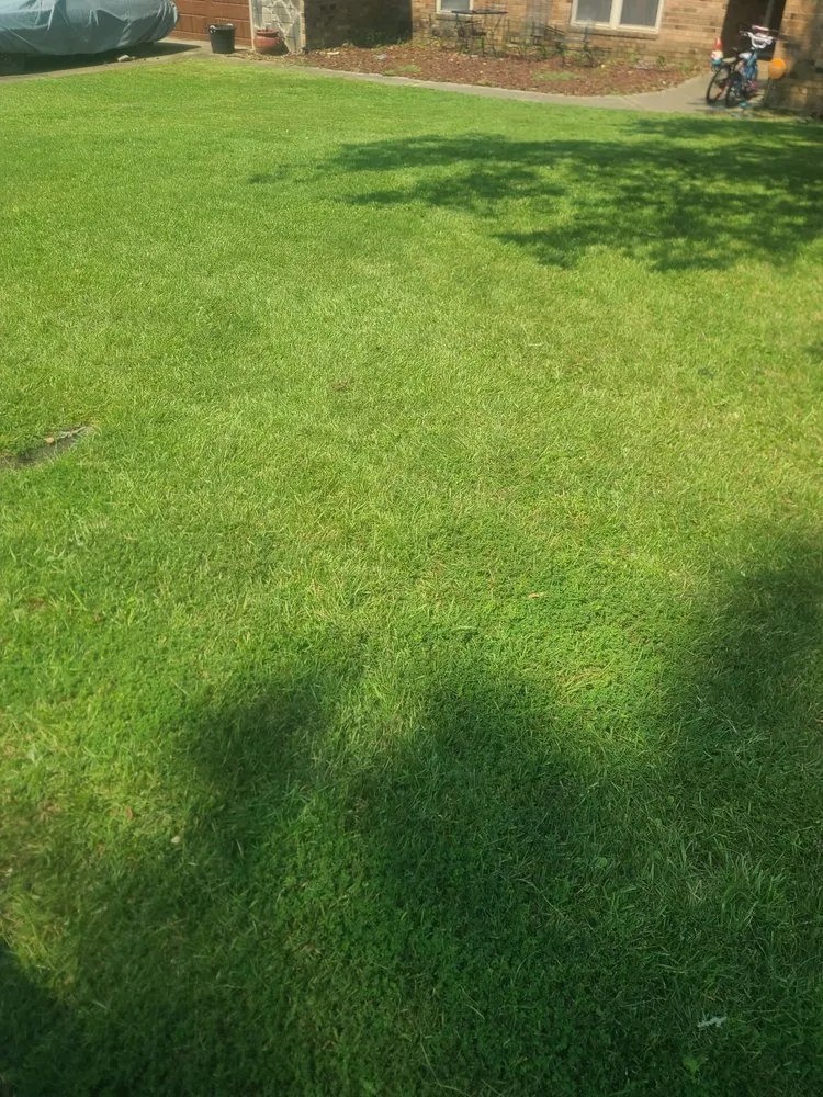 Expert lawn mowing service in Augusta, GA - Lawn Kings Landscaping