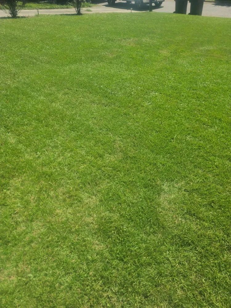 Trusted landscape installation for year-round maintenance across Augusta, GA - Lawn Kings Landscaping