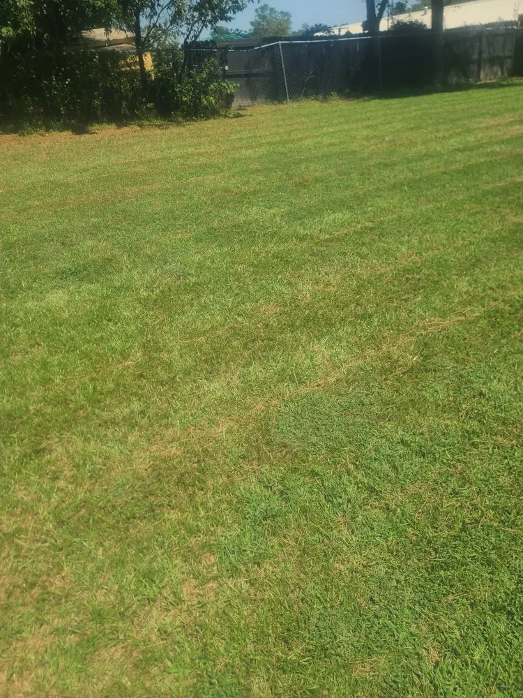 Top-rated yard cleanup service for year-round maintenance in Augusta, GA by Lawn Kings Landscaping