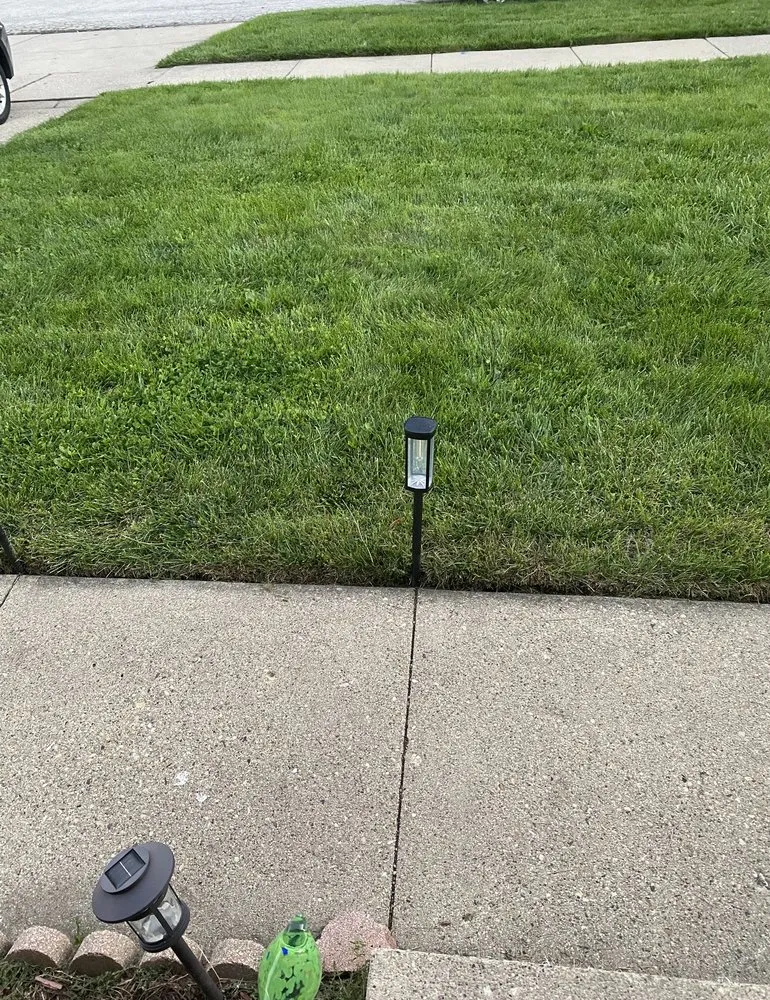 Custom landscape design experts serving Montgomery, IL - Lawn Kings Landscaping