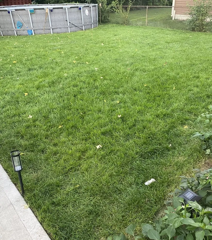 Top-rated lawn care service in Montgomery, IL by Lawn Kings Landscaping