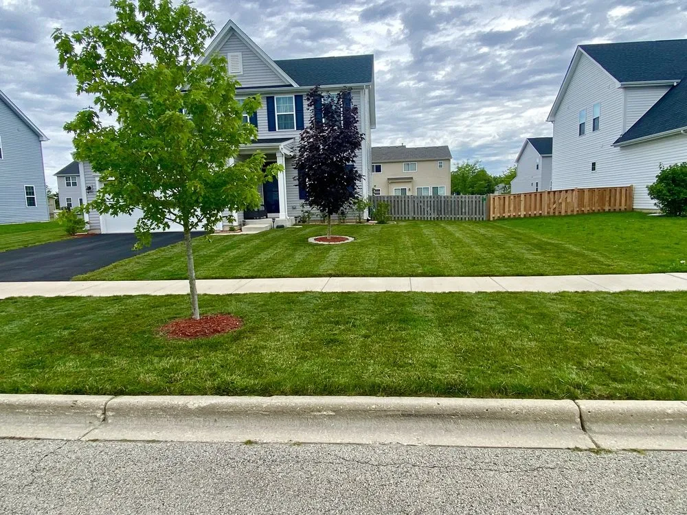 Top-rated landscaping services for outdoor upgrades across Montgomery, IL - Lawn Kings Landscaping