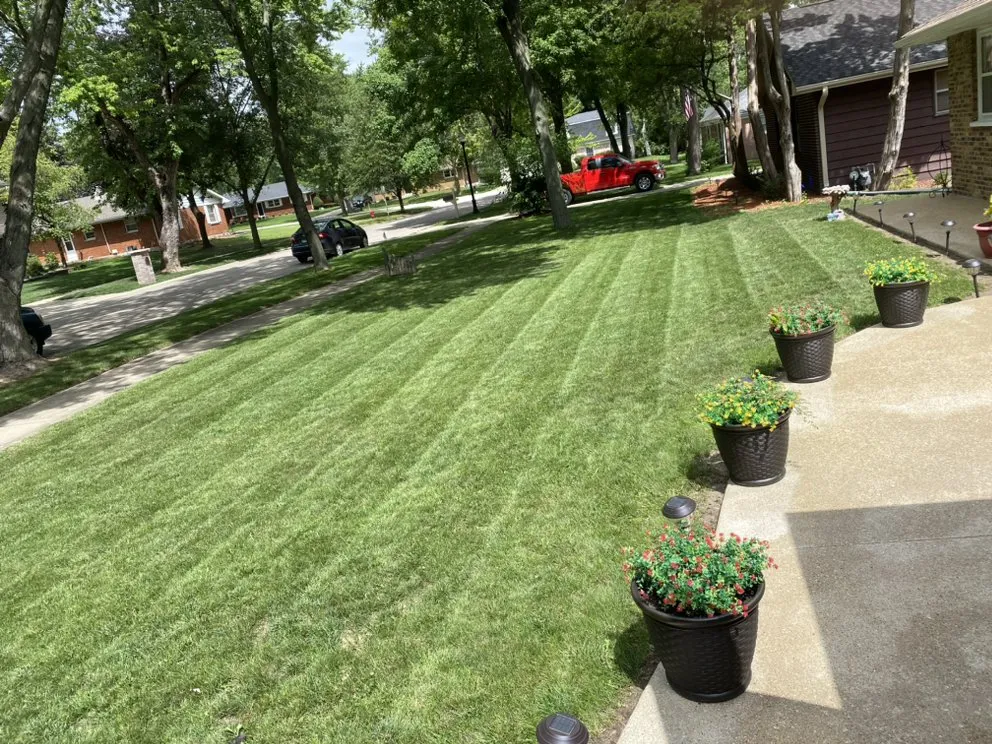 Custom yard cleanup service near you across Montgomery, IL - Lawn Kings Landscaping
