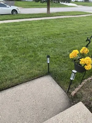 Lawn Kings Landscaping