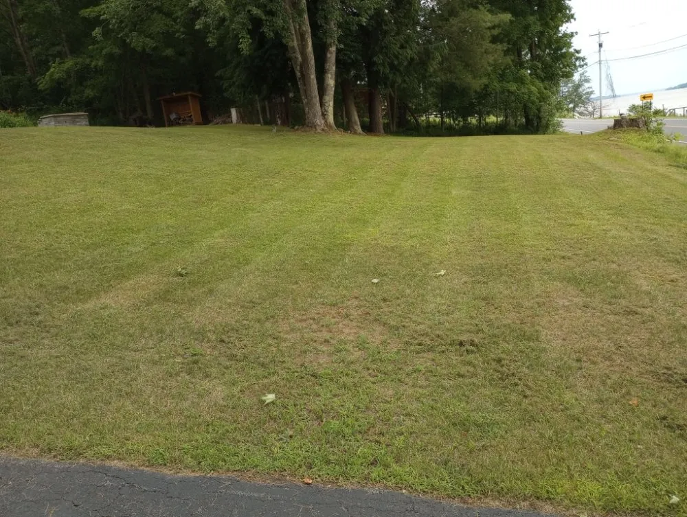 Professional landscape design for homes across Schenectady, NY - Lawn King's Lawn and Garden Service