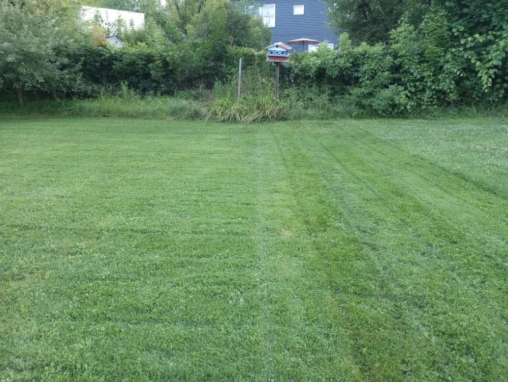 Custom yard cleanup service for beautiful yards across Schenectady, NY - Lawn King's Lawn and Garden Service