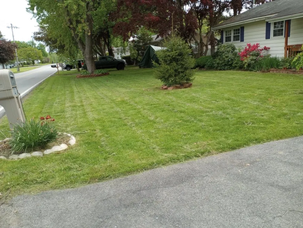 Affordable landscape design near you across Schenectady, NY - Lawn King's Lawn and Garden Service