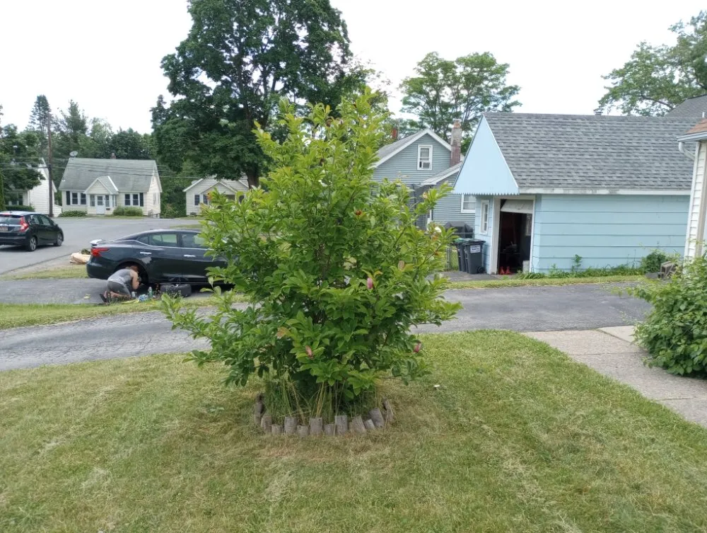 Local landscaping services experts serving Schenectady, NY - Lawn King's Lawn and Garden Service