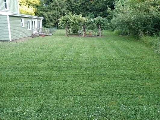 Lawn King's Lawn and Garden Service Logo