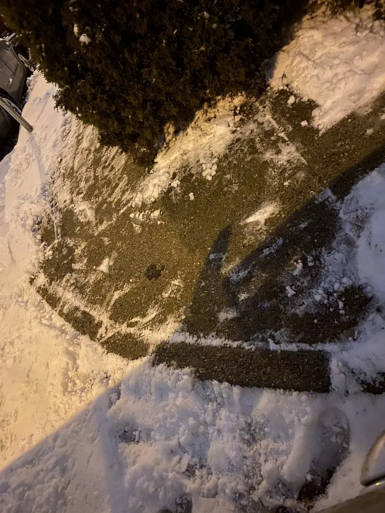 Affordable lawn mowing service near you in Nutley, NJ by Lawn Kings