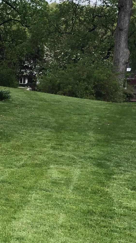 Professional residential landscaping experts serving Nutley, NJ - Lawn Kings