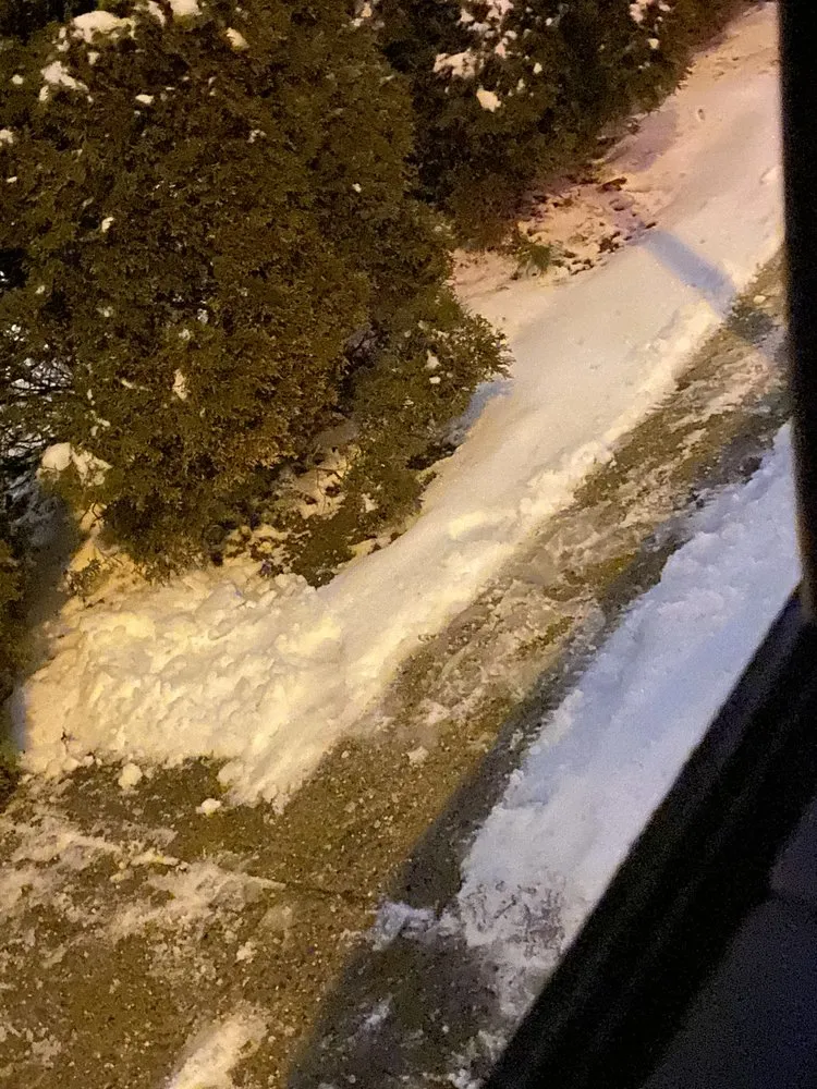 Professional yard maintenance experts serving Nutley, NJ - Lawn Kings