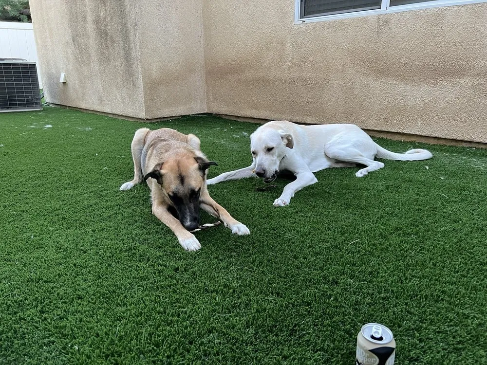 Trusted lawn mowing service for outdoor upgrades across Valencia, CA - Lawn Kings