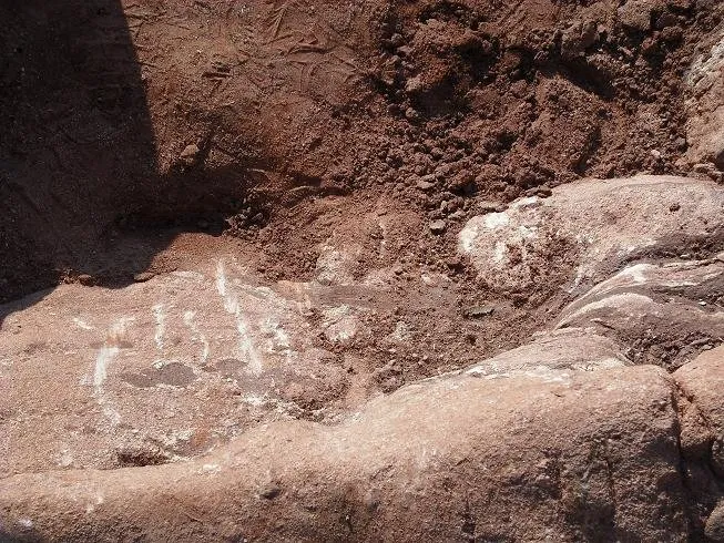 Expert lawn care service experts serving Valencia, CA - Lawn Kings