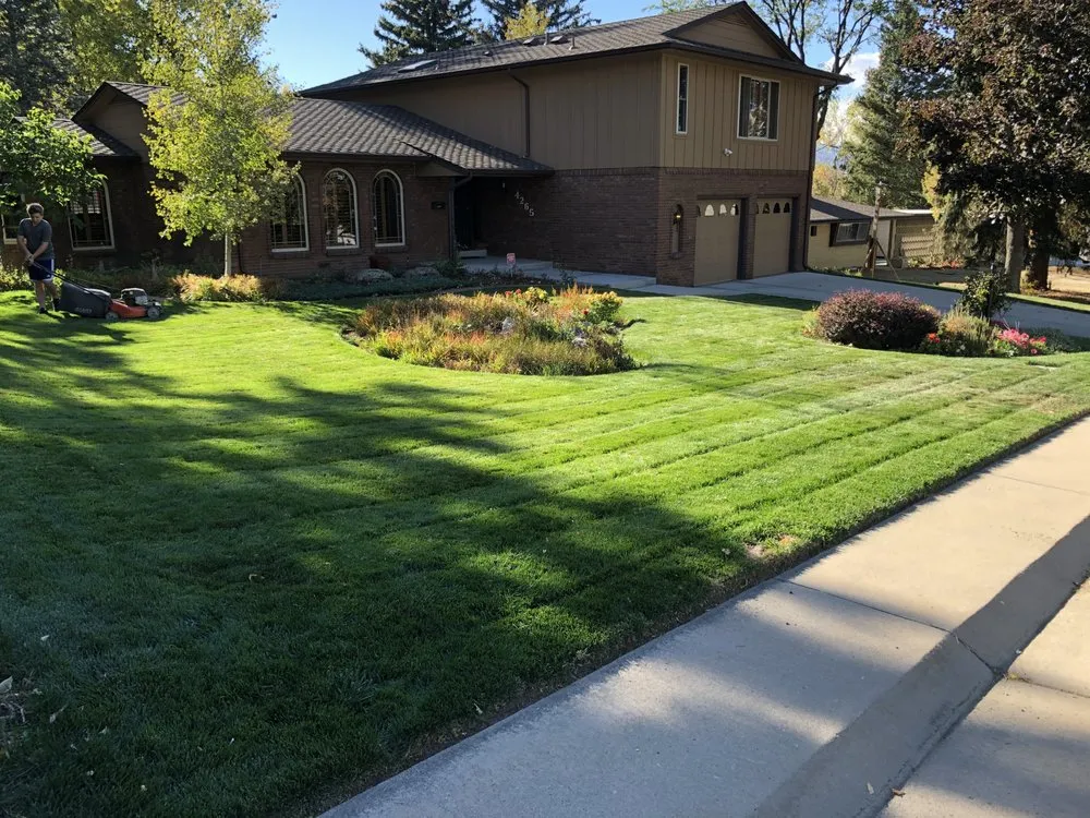 Affordable lawn care service experts serving Wheat Ridge, CO - Lawn Kings