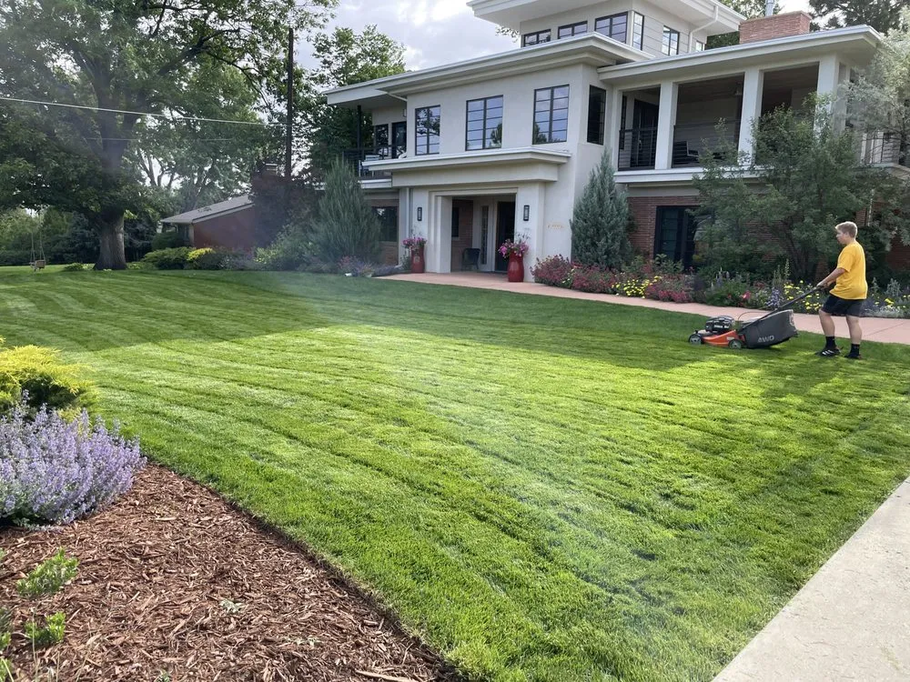 Local yard cleanup service in Wheat Ridge, CO by Lawn Kings