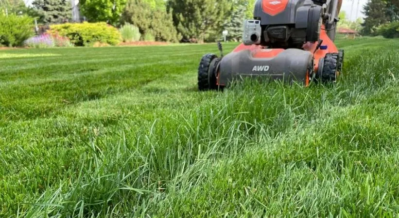 Affordable landscape design for beautiful yards in Wheat Ridge, CO by Lawn Kings