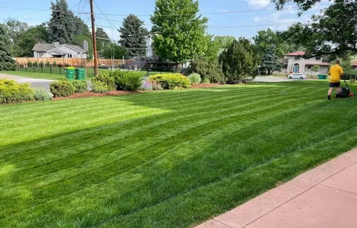 Reliable landscaping services in Wheat Ridge, CO - Lawn Kings