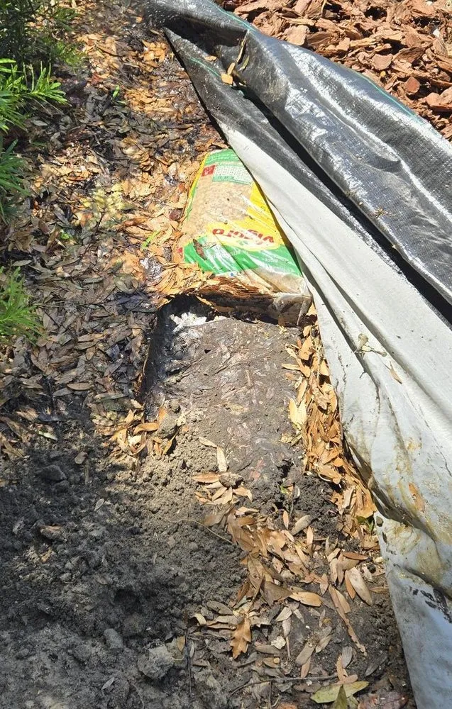 Affordable yard maintenance in Daytona Beach, FL by Lawn Kingz Lawn And Tree Service