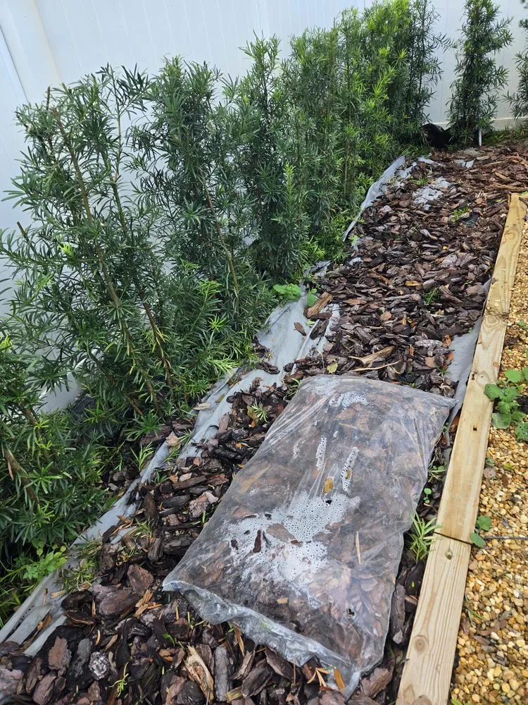 Top-rated garden landscaping in Daytona Beach, FL - Lawn Kingz Lawn And Tree Service