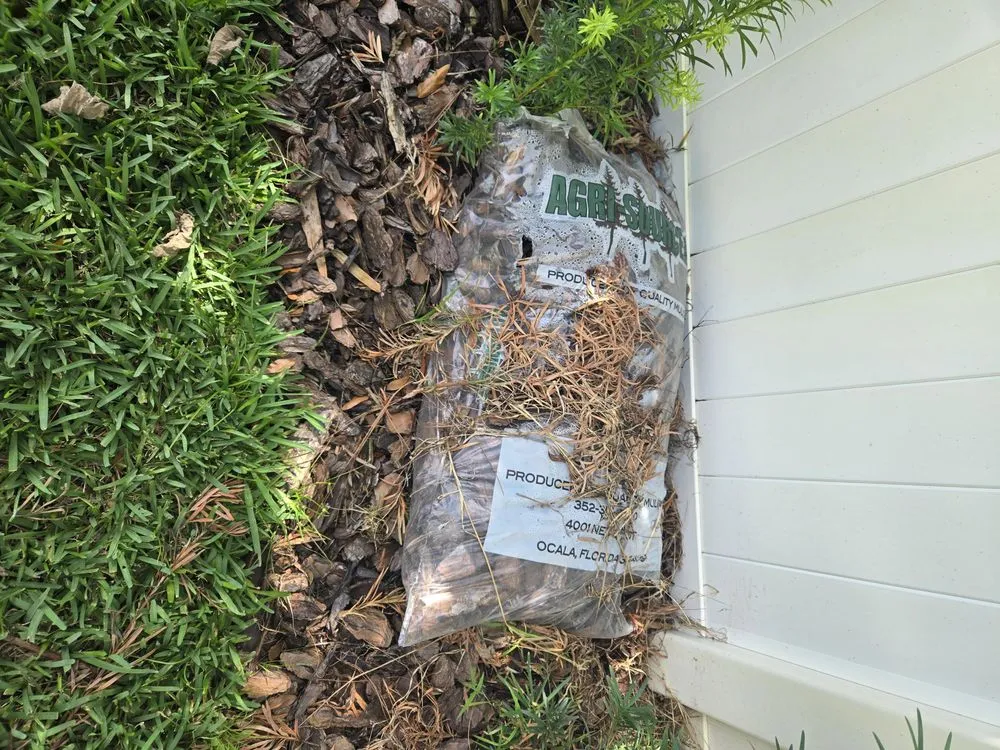 Local landscape installation in Daytona Beach, FL - Lawn Kingz Lawn And Tree Service