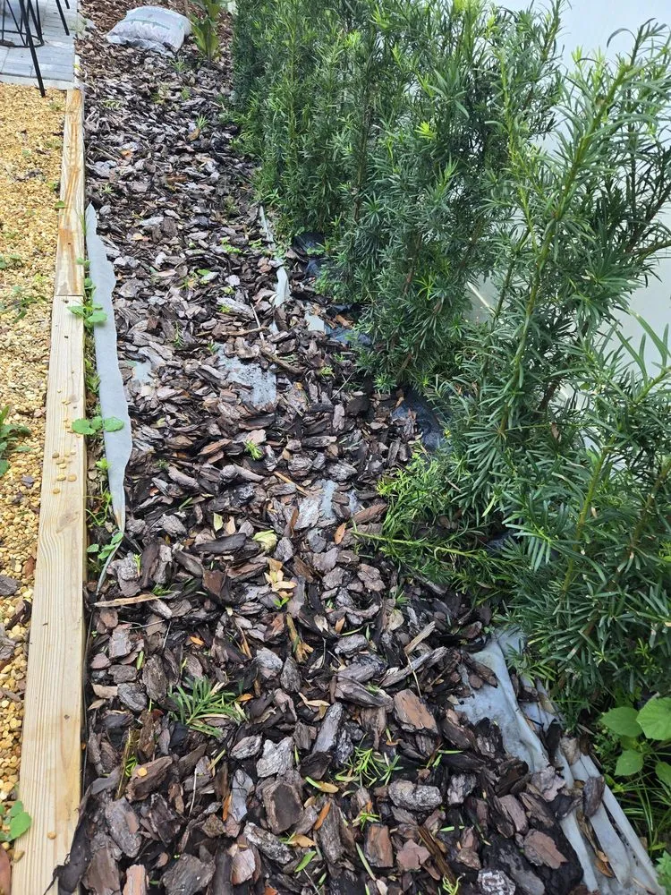 Professional garden landscaping for outdoor upgrades across Daytona Beach, FL - Lawn Kingz Lawn And Tree Service