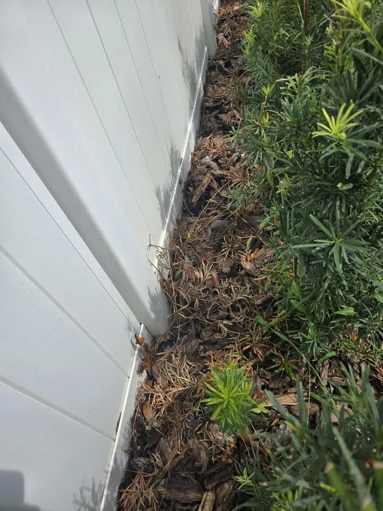 Local outdoor landscaping experts serving Daytona Beach, FL - Lawn Kingz Lawn And Tree Service