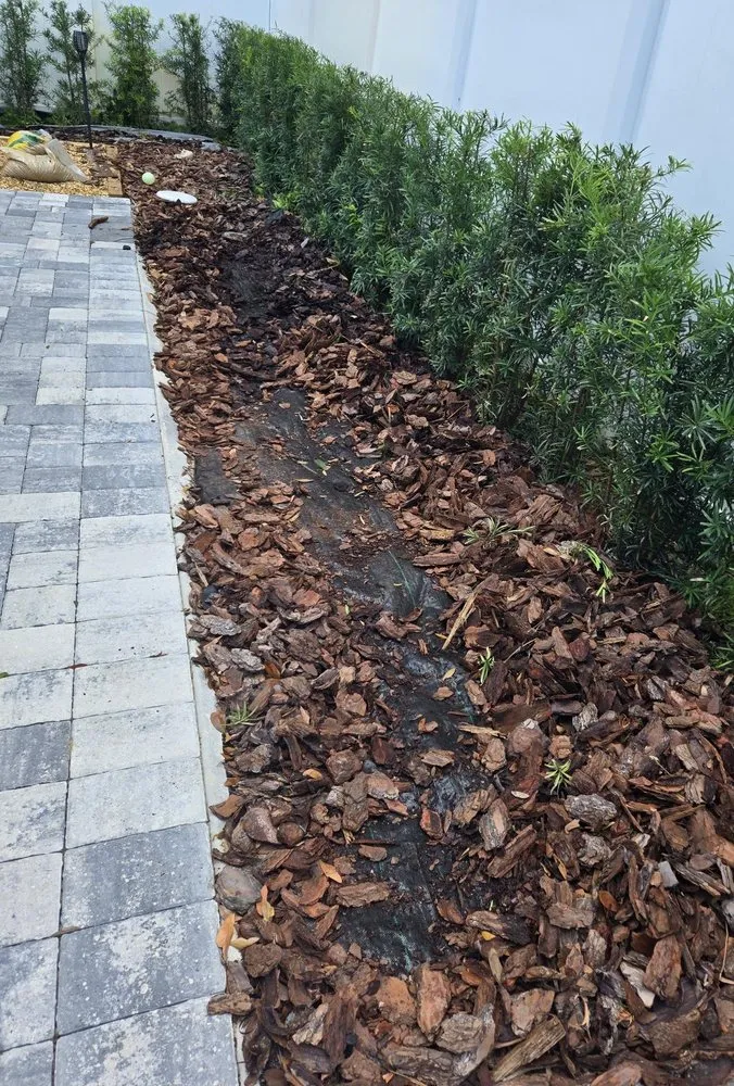 Reliable lawn care service for homes in Daytona Beach, FL by Lawn Kingz Lawn And Tree Service