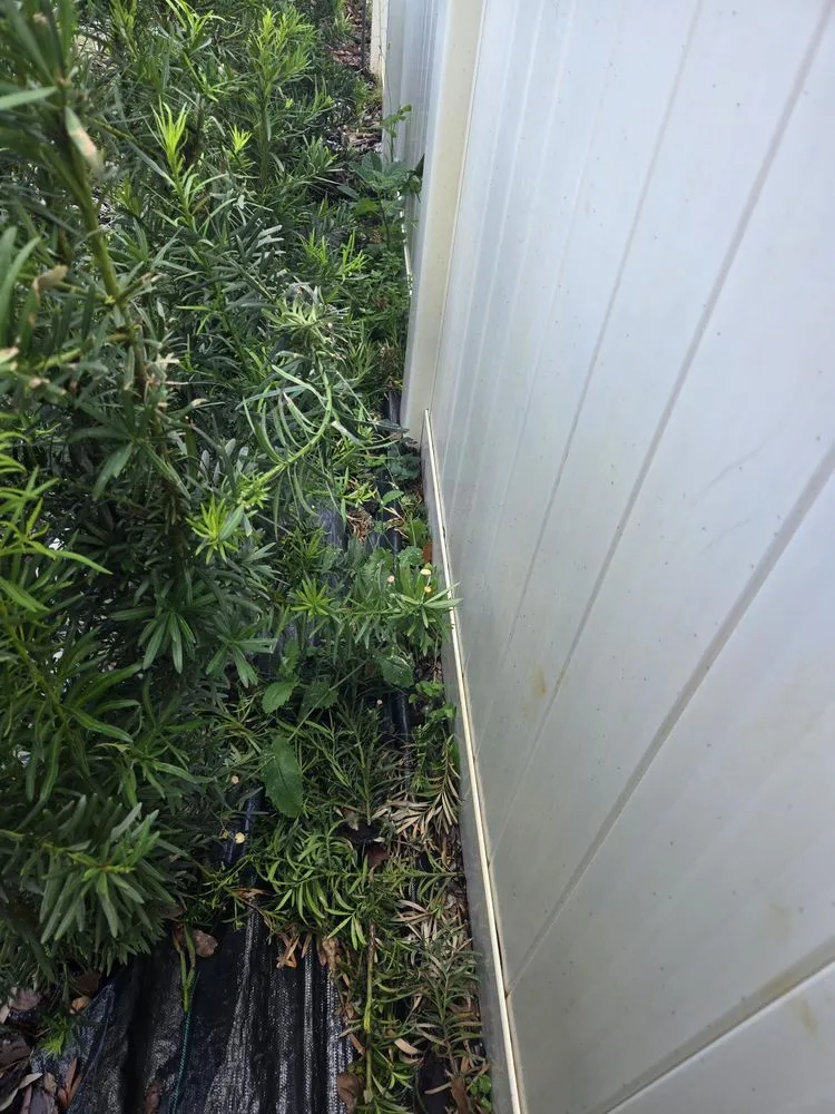 Reliable garden landscaping in Daytona Beach, FL - Lawn Kingz Lawn And Tree Service