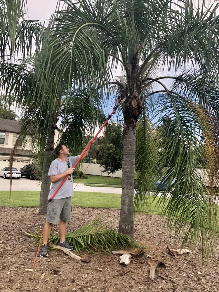 Professional landscaping services for beautiful yards in Brandon, FL by Lawn Klippers