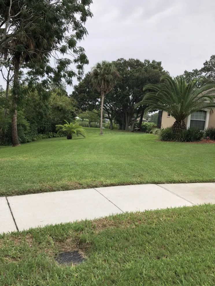 Reliable landscape design in Brandon, FL by Lawn Klippers
