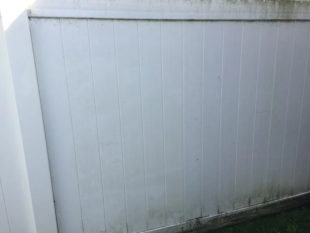 Affordable yard cleanup service for year-round maintenance in Brandon, FL by Lawn Klippers