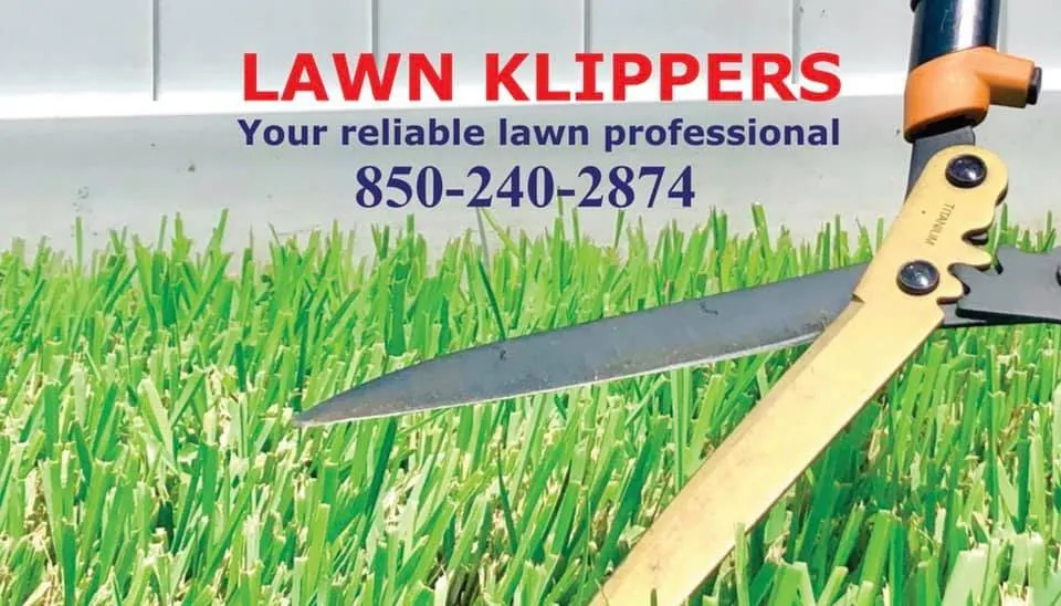 Expert outdoor landscaping in Brandon, FL - Lawn Klippers