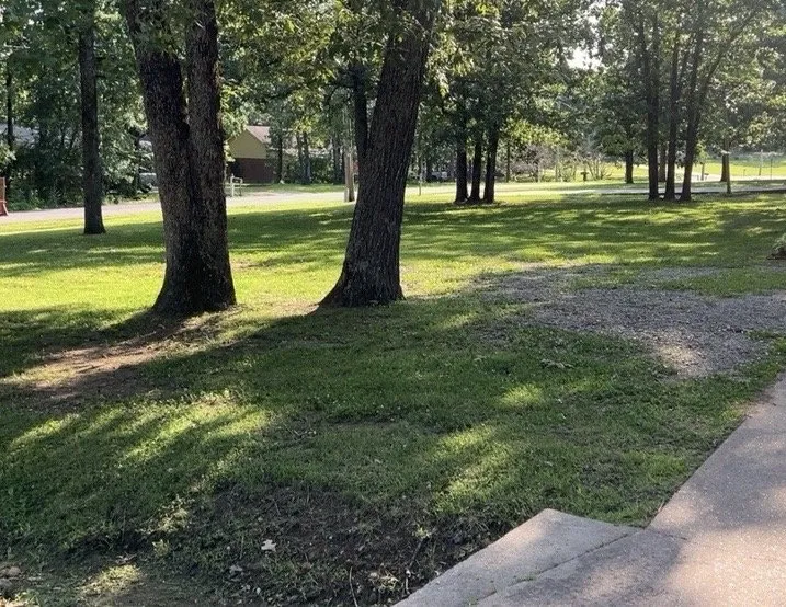 Professional landscaping services in Judsonia, AR by Lawn Kraken