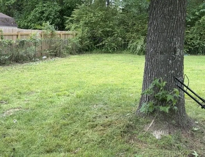 Top-rated garden landscaping in Judsonia, AR by Lawn Kraken