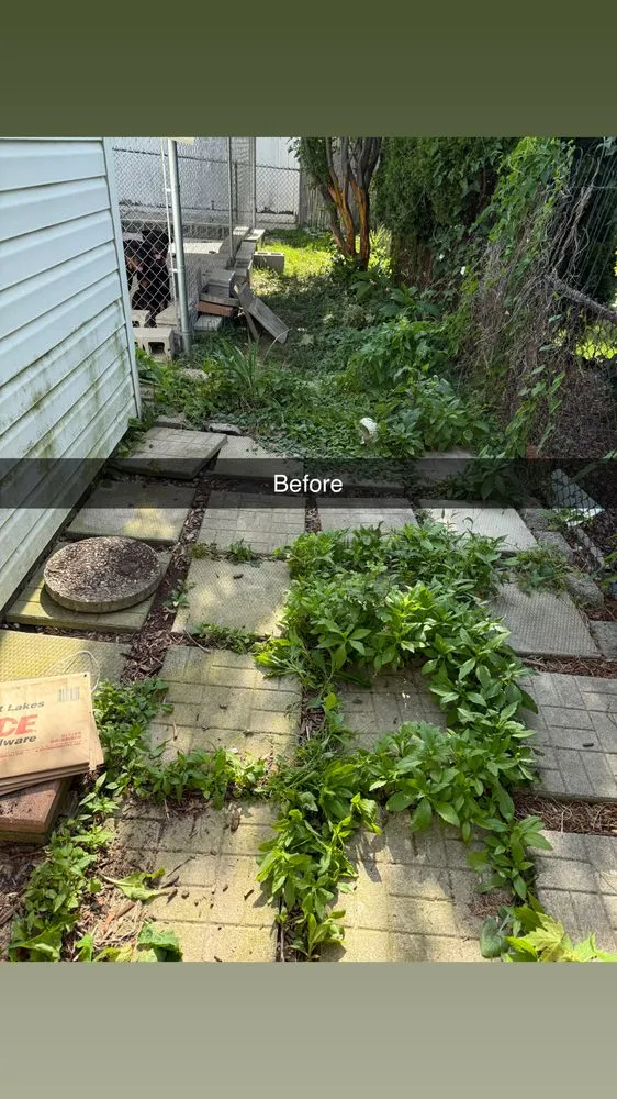 Top-rated lawn care service in River Rouge, MI by Lawn Lab