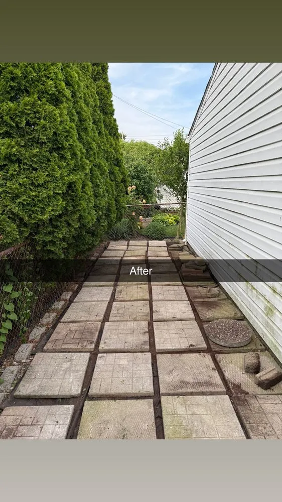 Custom yard cleanup service for beautiful yards across River Rouge, MI - Lawn Lab